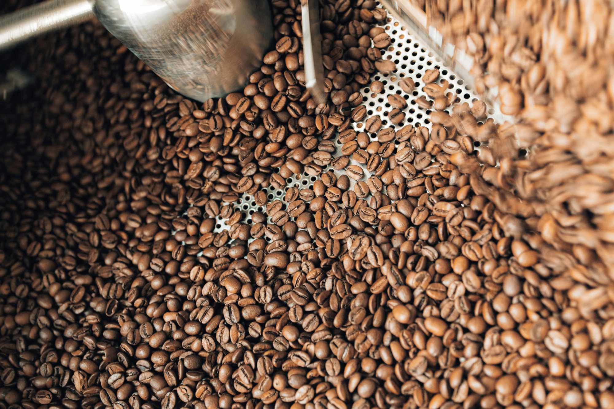 Garza Coffee Mikrorösterei in Neukölln wir machen Speciality Coffee mit Kolumbianischer Kaffee