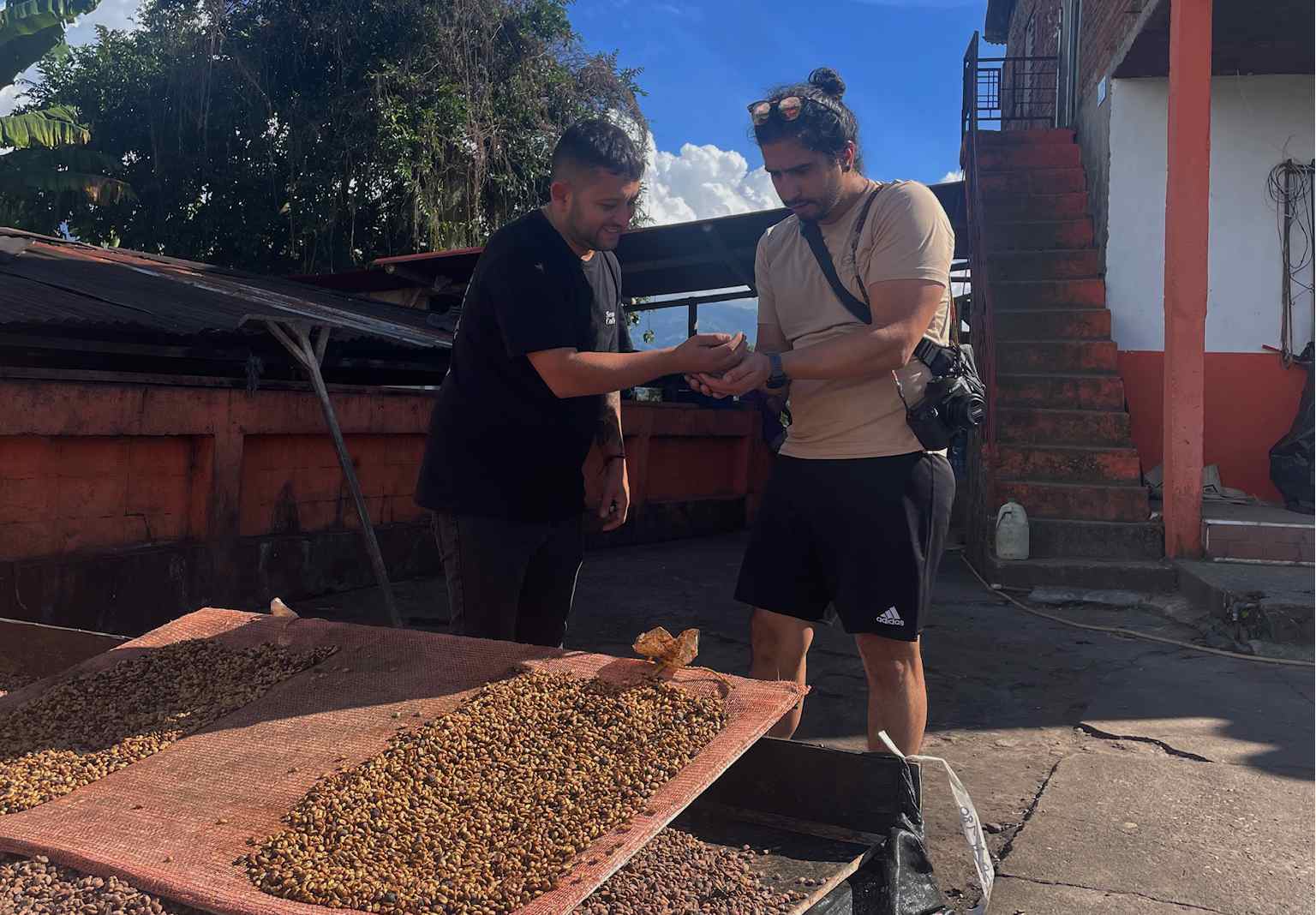 Am Ursprung von Apricot OD – Juan Puerta | Garza Coffee