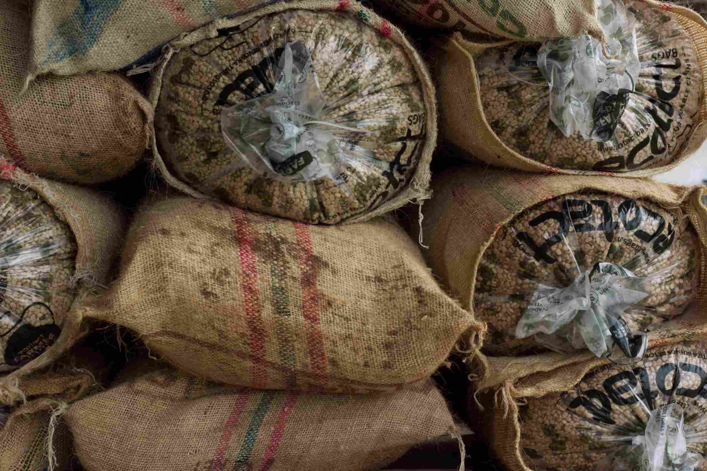 Espresso 2026: Castillo aus der Finca Bellavista in Kolumbien