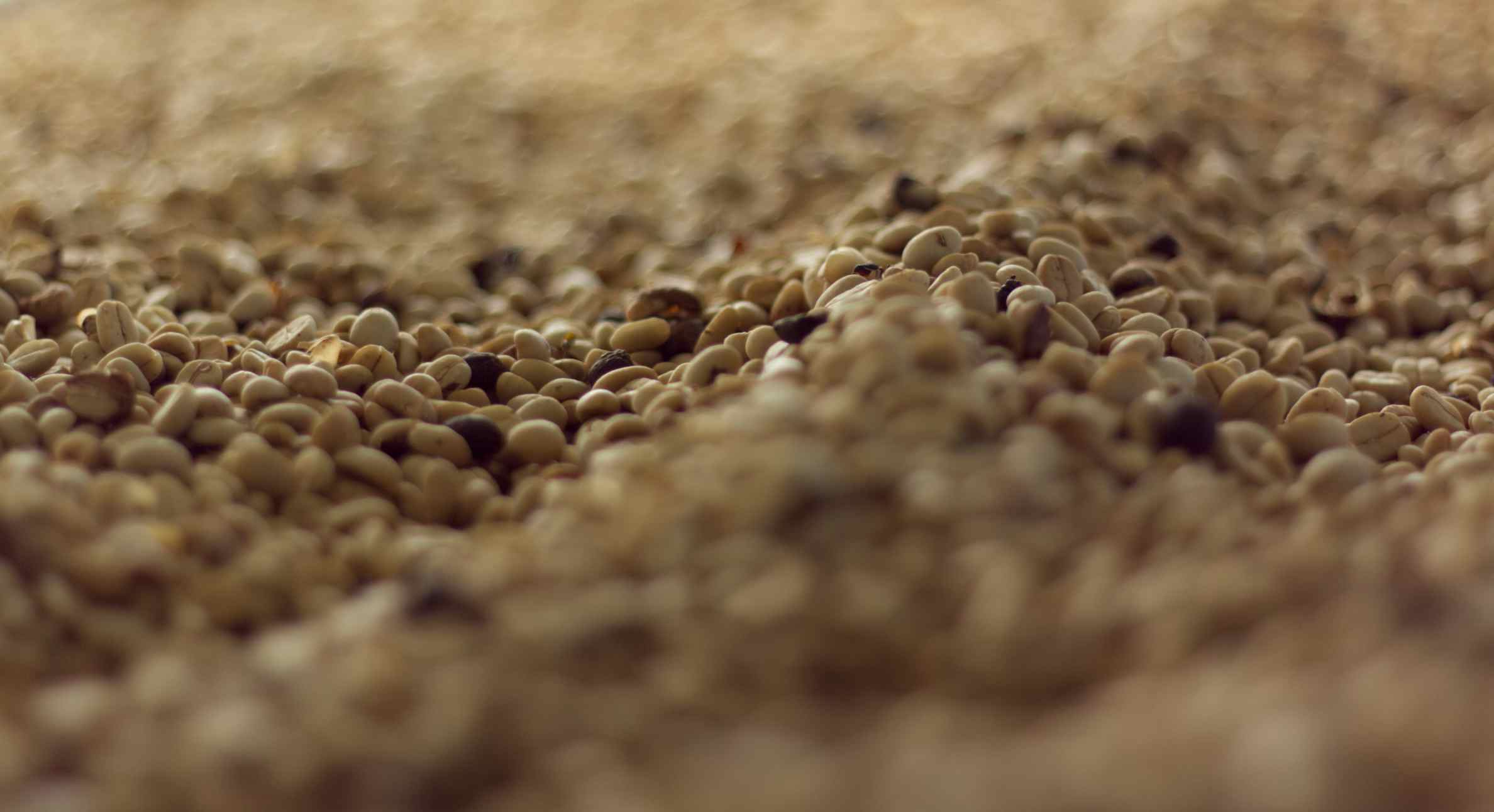 Green Coffee Garza Coffee